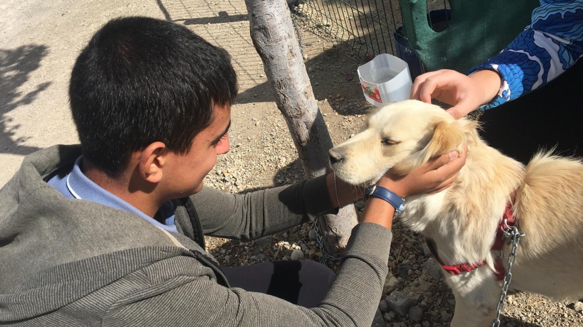 4 Ekim Hayvanları Koruma Günü Etkinlikleri.